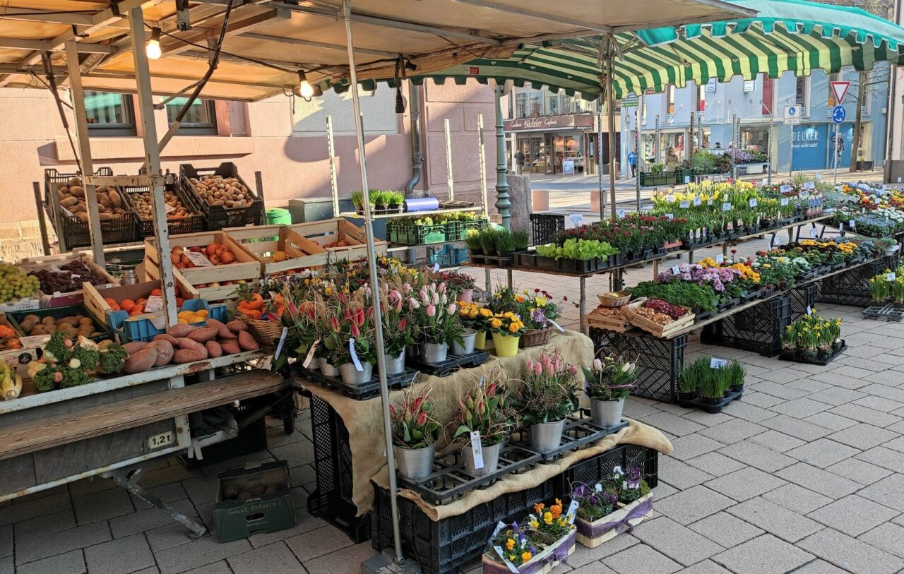 Wochenmarkt Blumen Baumann